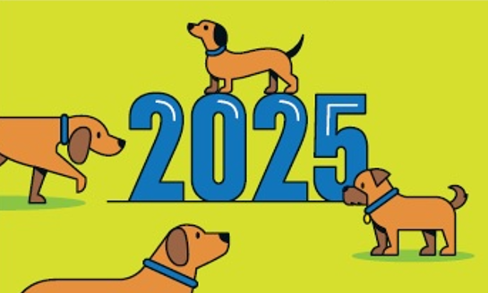 2025-1