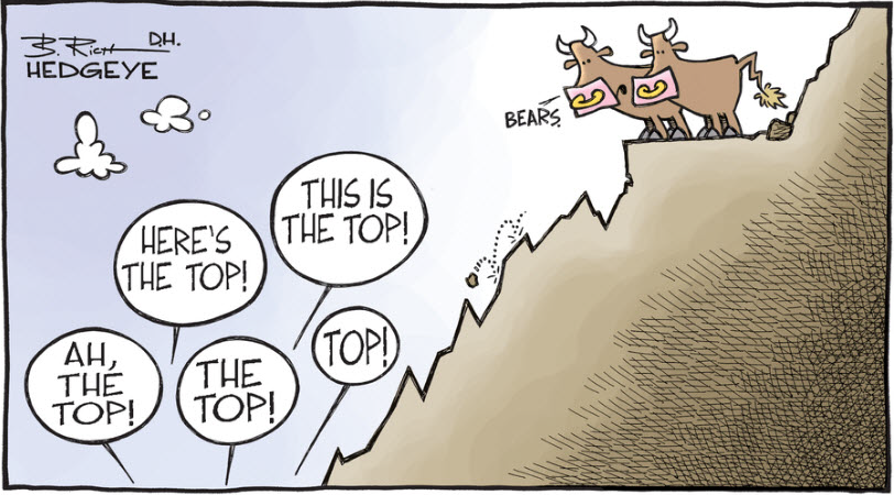 bear-2
