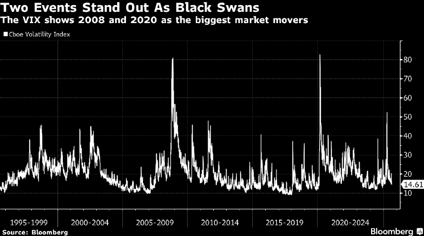 swans