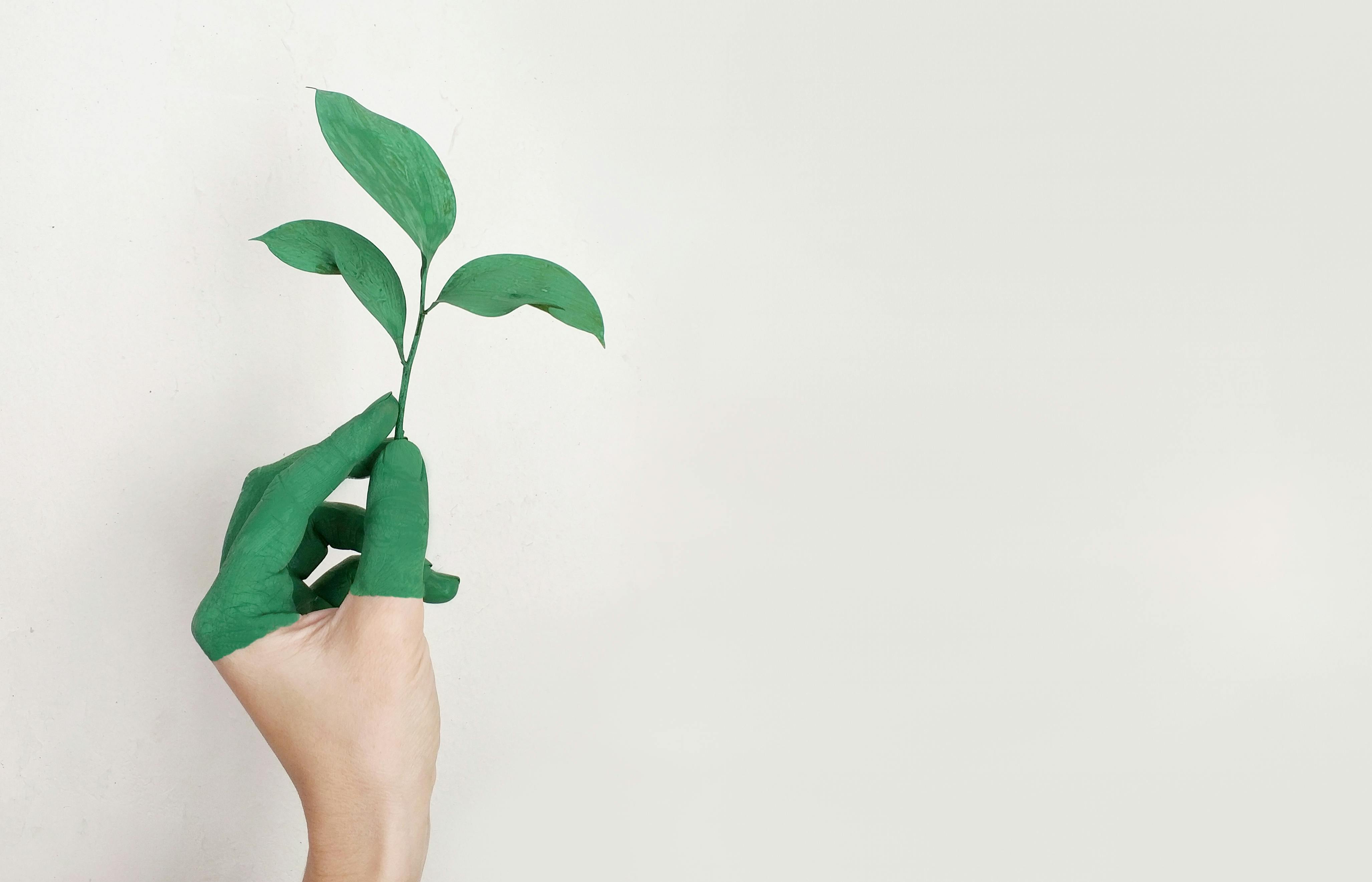 investimento-sustentável:-como-conjugar-impacto-e-retorno