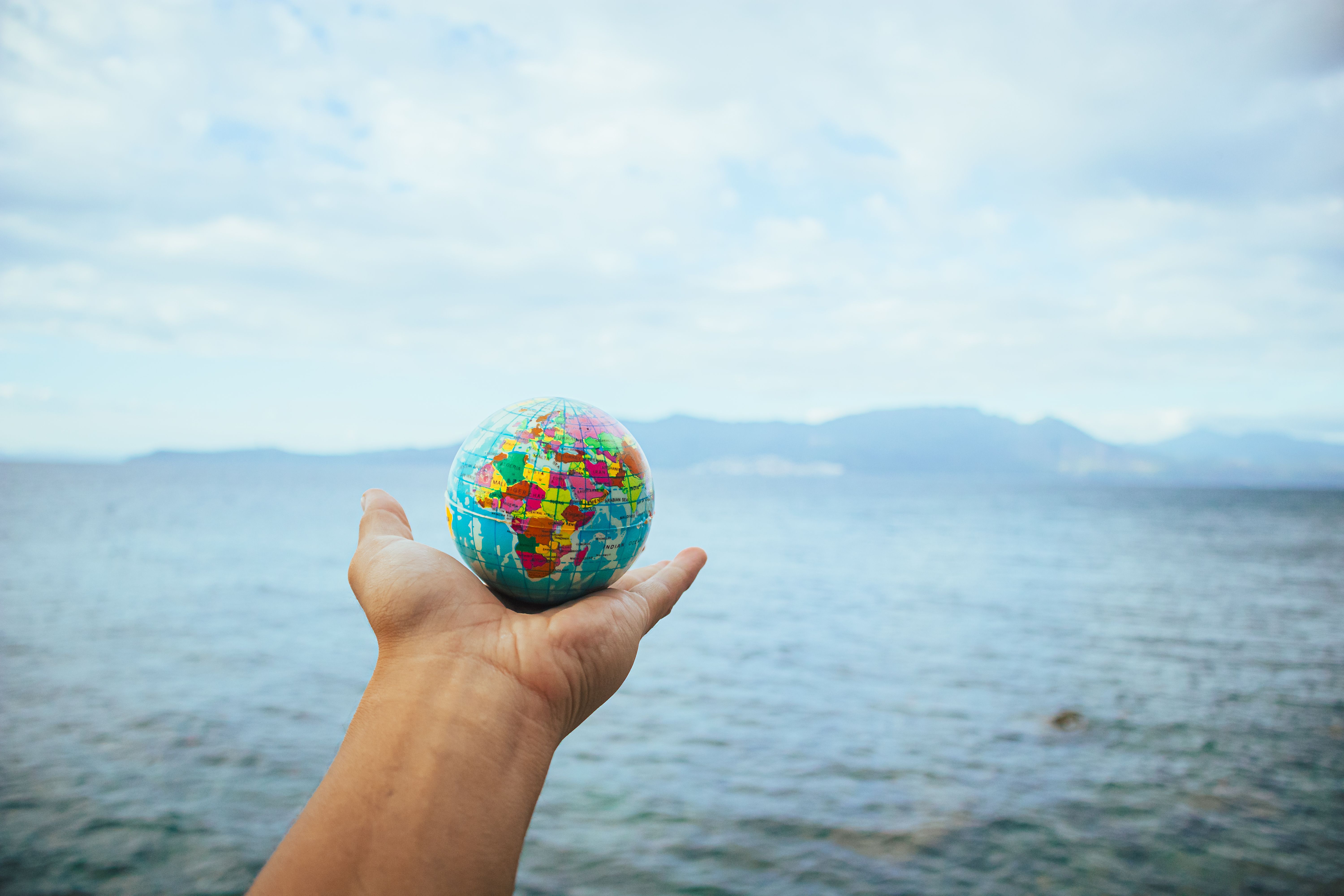 bull-market-tornou-se-global-e-ia-não-foi-requisito